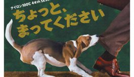 アイデアは、いくつになっても現れる-ケラリーノ・サンドロヴィッチ アイデアは、いくつになっても現れる-ケラリーノ・サンドロヴィッチ